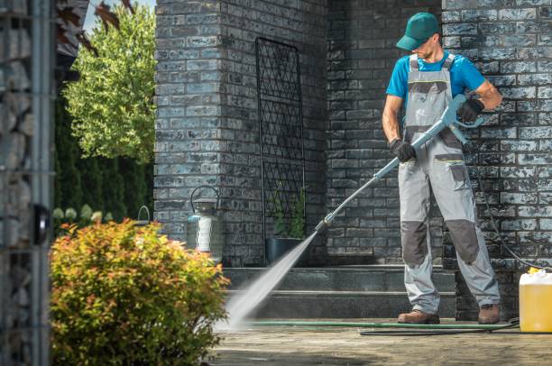 Animal Enclosure Cleaning in Brusly, LA